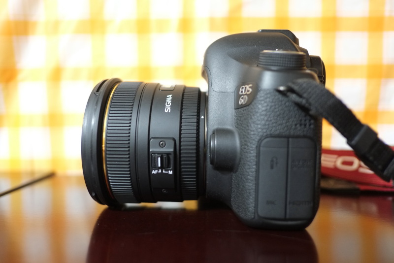 SIGMAの単焦点レンズ50mm F1.4 EX DG HSM | ディズニーと写真とカメラ日記